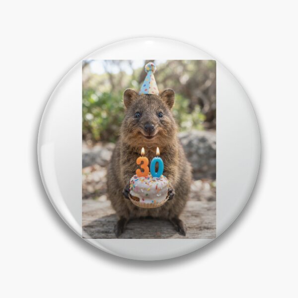 Item preview, Quokka 30th birthday cute adorable cake party baby kawaii designed and sold by CheeseBlueprint.