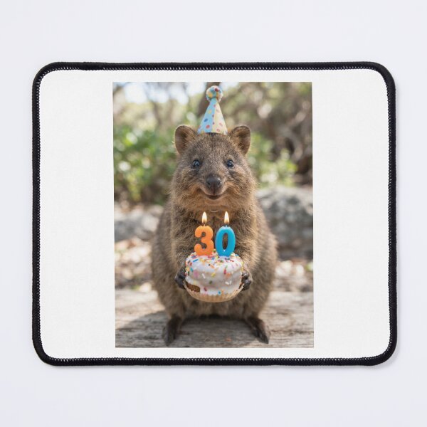 Item preview, Quokka 30th birthday cute adorable cake party baby kawaii designed and sold by CheeseBlueprint.