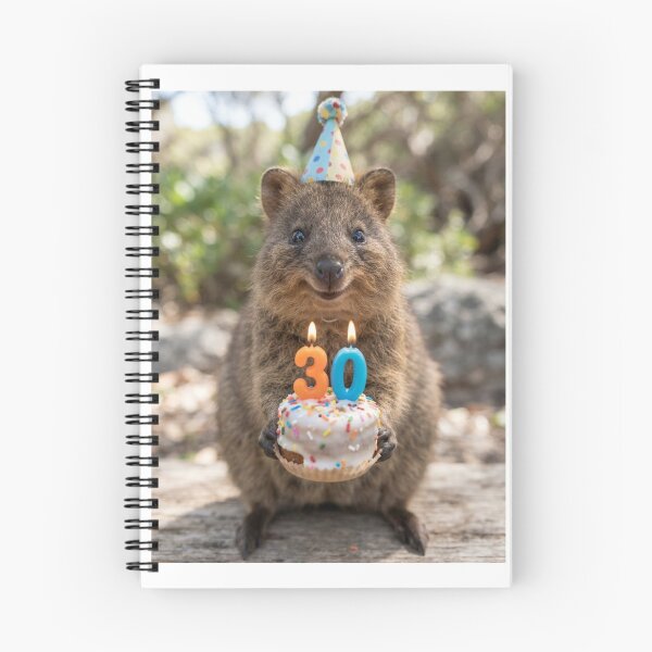 Item preview, Quokka 30th birthday cute adorable cake party baby kawaii designed and sold by CheeseBlueprint.