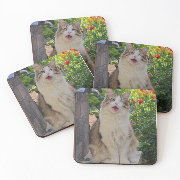 Item preview, Meow – Cute Cat Photography designed and sold by MB-CatPrints.
