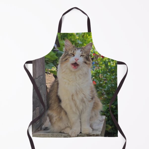 Item preview, Meow – Cute Cat Photography designed and sold by MB-CatPrints.