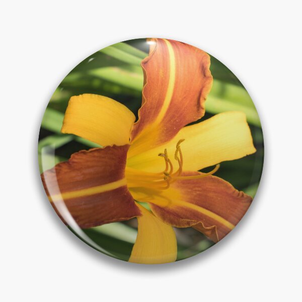 Item preview, Vibrant Bicolored Day Lily in Bloom designed and sold by Georgia Mizuleva.