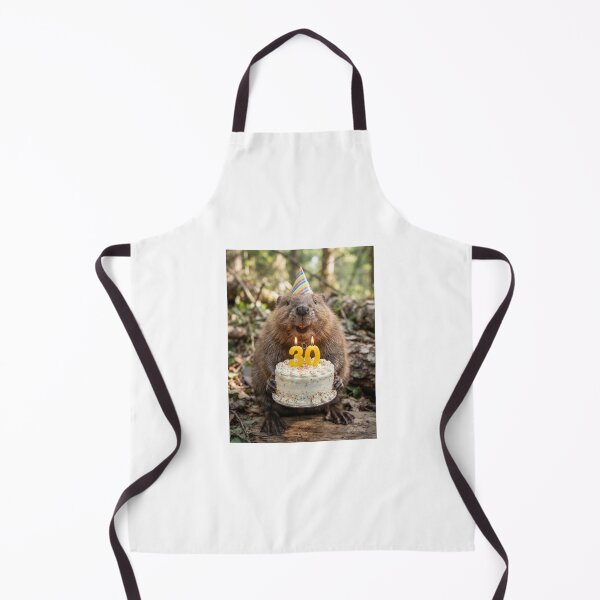 Item preview, Beaver 30th birthday cute adorable cake party baby kawaii designed and sold by CheeseBlueprint.