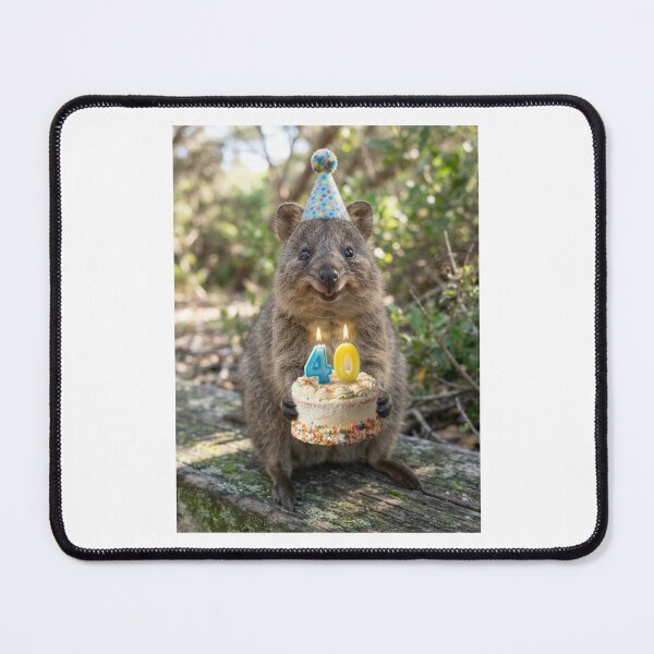 Item preview, Quokka 40th birthday cute adorable cake party baby kawaii designed and sold by CheeseBlueprint.