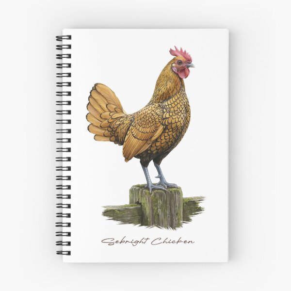 Item preview, Sebright Chicken on Wooden Fence Bird Illustration designed and sold by Takeda-art.