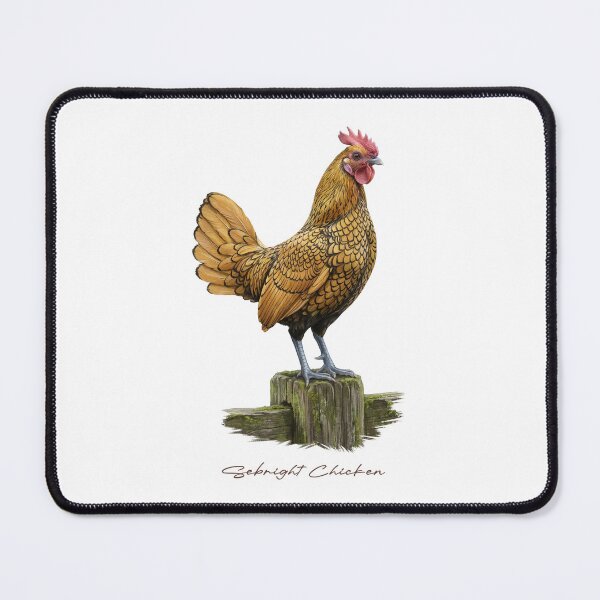 Item preview, Sebright Chicken on Wooden Fence Bird Illustration designed and sold by Takeda-art.