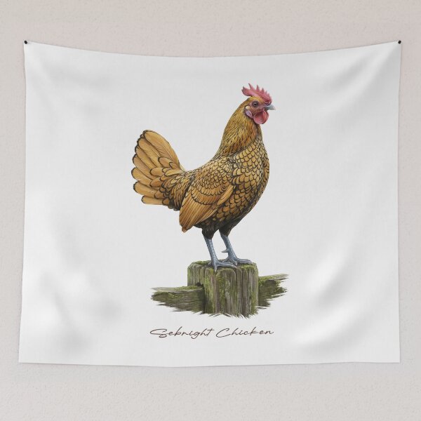 Item preview, Sebright Chicken on Wooden Fence Bird Illustration designed and sold by Takeda-art.