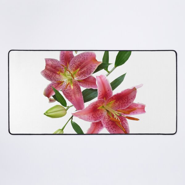 Item preview, pink stargazer lily botanical art designed and sold by introvertarts.