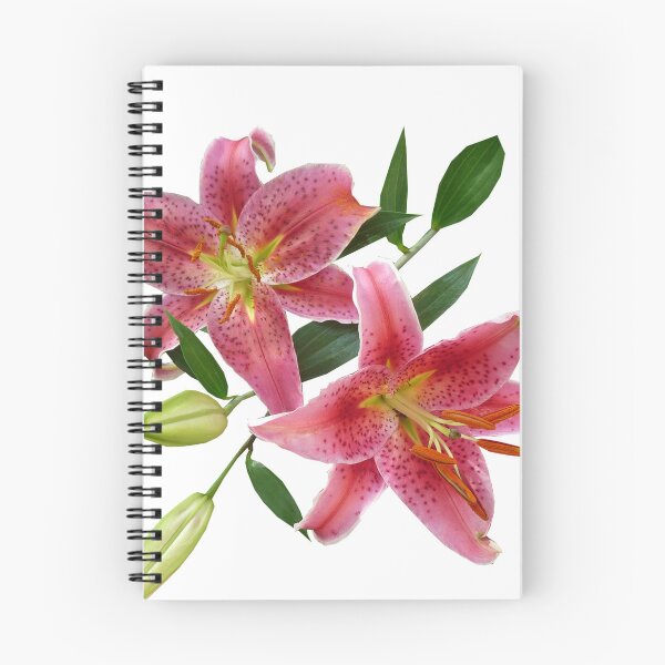 Item preview, pink stargazer lily botanical art designed and sold by introvertarts.