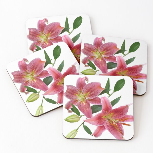 Item preview, pink stargazer lily botanical art designed and sold by introvertarts.