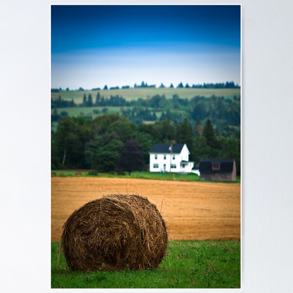 Item preview, The Hay Bale designed and sold by Charles Plant.