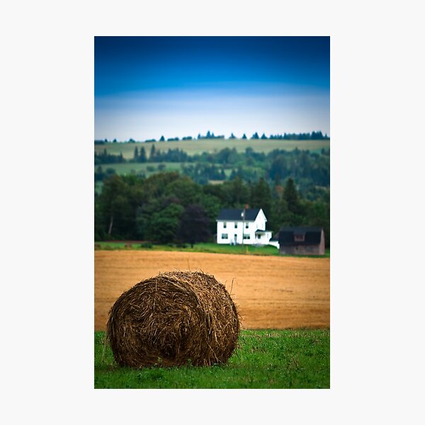 Item preview, The Hay Bale designed and sold by Charles Plant.
