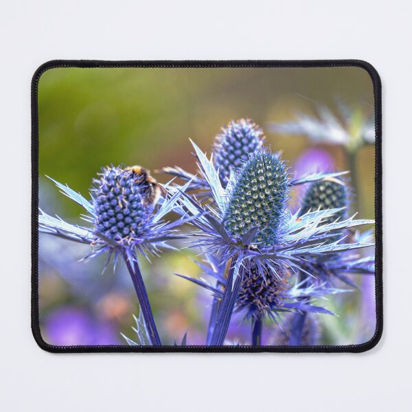 Item preview, Vibrant Sea Holly At Balmoral designed and sold by Lynn Bolt.