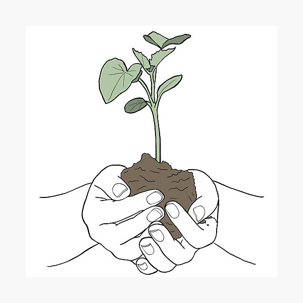Item preview, Holding nature drawing designed and sold by Line & Tide.