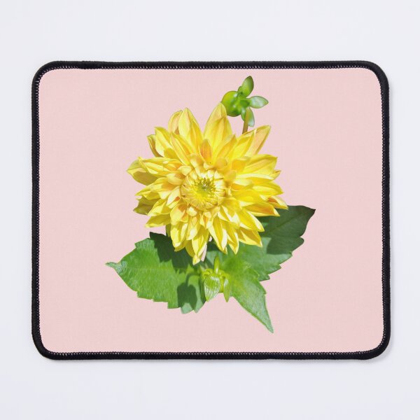 Item preview, Dahlia Gelber Vulcan Yellow For Bringing Positive Vibes and Strength To Oneself and The World Salmon Background designed and sold by BOKEbyTC.