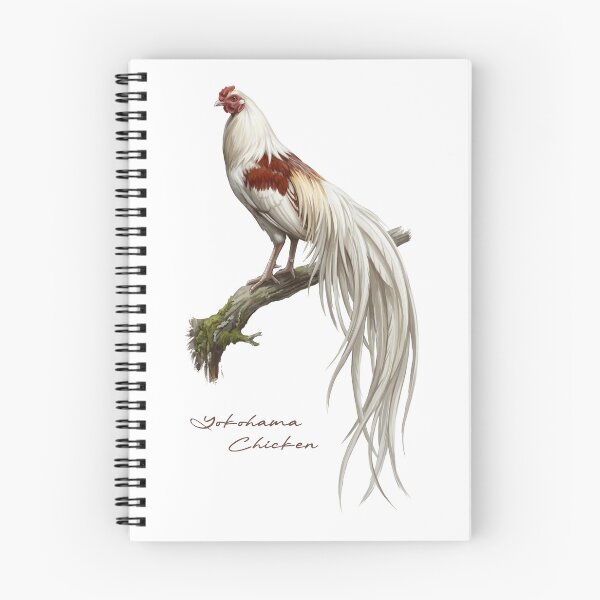 Item preview, Yokohama Chicken on Rustic Branch Bird Illustration designed and sold by Takeda-art.