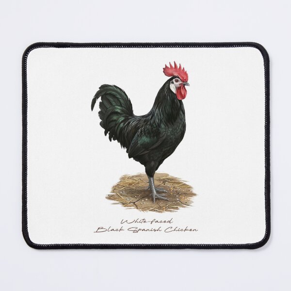 Item preview, White-faced Black Spanish Chicken in Farm Bird Illustration designed and sold by Takeda-art.
