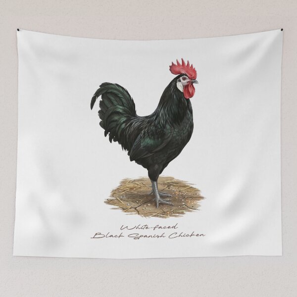Item preview, White-faced Black Spanish Chicken in Farm Bird Illustration designed and sold by Takeda-art.