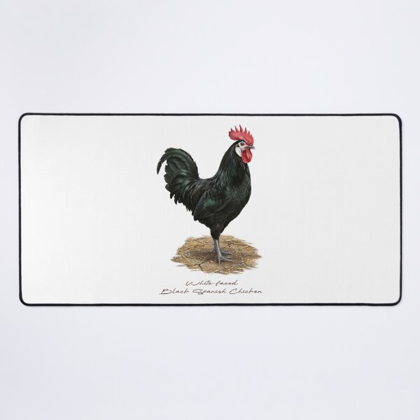 Item preview, White-faced Black Spanish Chicken in Farm Bird Illustration designed and sold by Takeda-art.