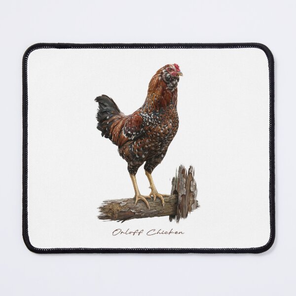 Item preview, Orloff Chicken on Wooden Fence Bird Illustration designed and sold by Takeda-art.