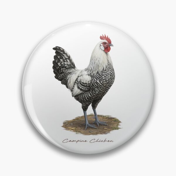 Item preview, Campine Chicken on Farmland designed and sold by Takeda-art.
