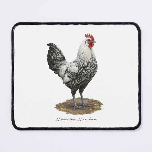 Item preview, Campine Chicken on Farmland designed and sold by Takeda-art.
