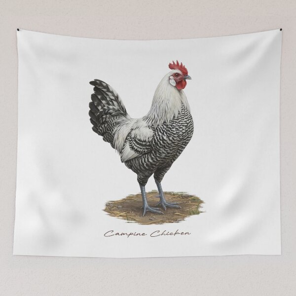 Item preview, Campine Chicken on Farmland designed and sold by Takeda-art.