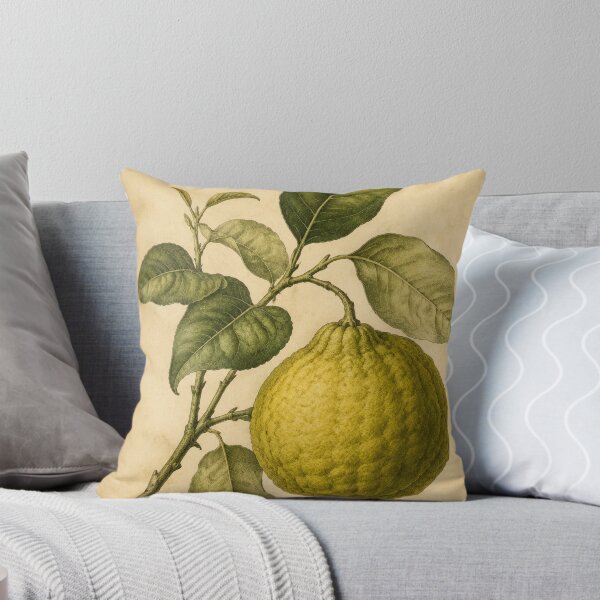 Item preview, bergamot designed and sold by alexrow.