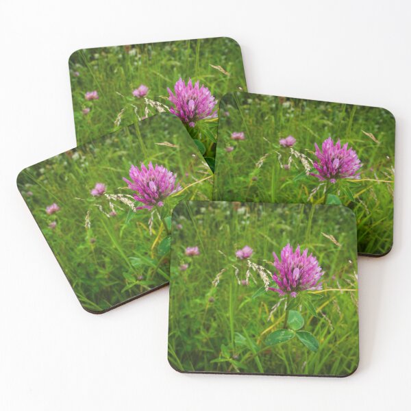 Item preview, Red Clover Wildflower | Barnack Hills and Holes Meadow Photography designed and sold by MikeWalksUK.