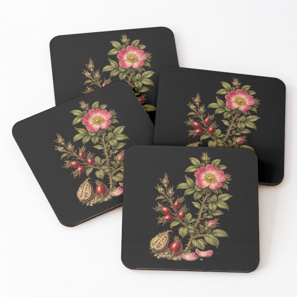 Item preview, Vintage Wild Rose and Rosehip Botanical Art designed and sold by Anyshca.