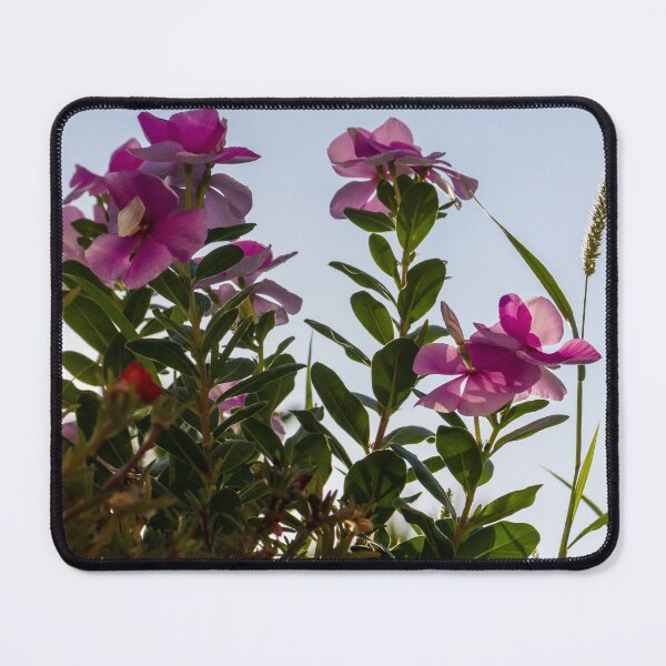 Item preview, Pink Garden Flowers Reaching Toward Blue Sky Over Stone Wall in Warm Sunlight designed and sold by Nmallia.