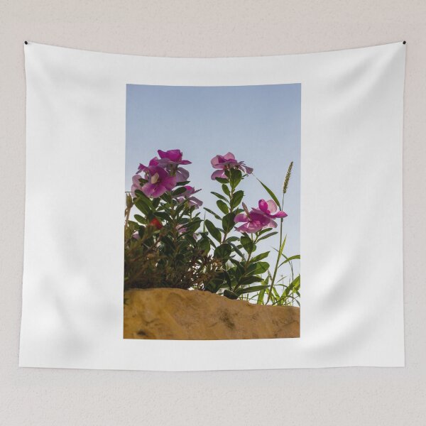 Item preview, Pink Garden Flowers Reaching Toward Blue Sky Over Stone Wall in Warm Sunlight designed and sold by Nmallia.