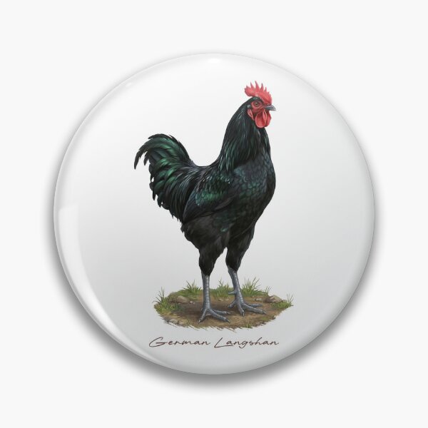 Item preview, German Langshan on Farmland Bird Illustration designed and sold by Takeda-art.