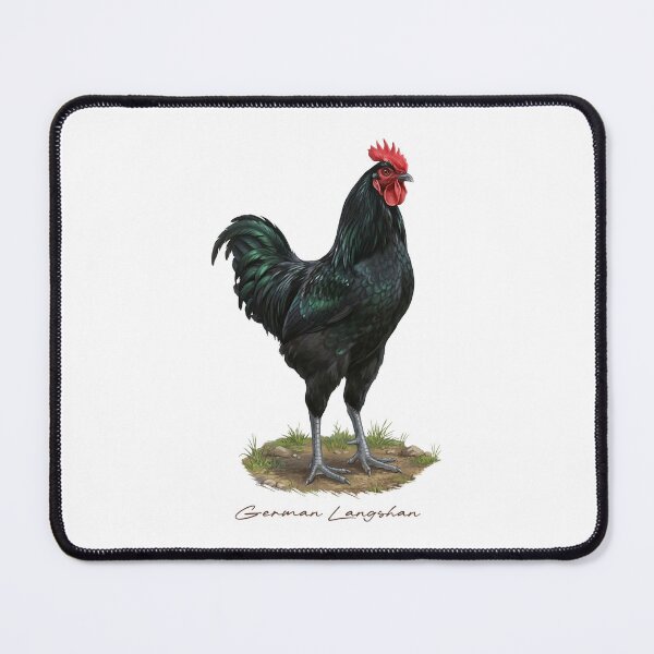 Item preview, German Langshan on Farmland Bird Illustration designed and sold by Takeda-art.