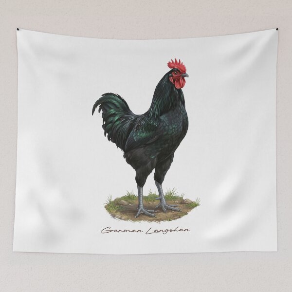 Item preview, German Langshan on Farmland Bird Illustration designed and sold by Takeda-art.