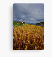 Views: 10015.The DeeZ 5Cs Award Banner. Verrasundet Sor-Trondelag . Norway. Brown Sugar Story . This image Has Been S O L D . Brilliant work Canvas Print