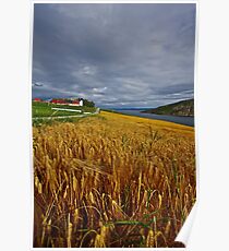 Views: 10015.The DeeZ 5Cs Award Banner. Verrasundet Sor-Trondelag . Norway. Brown Sugar Story . This image Has Been S O L D . Brilliant work Poster