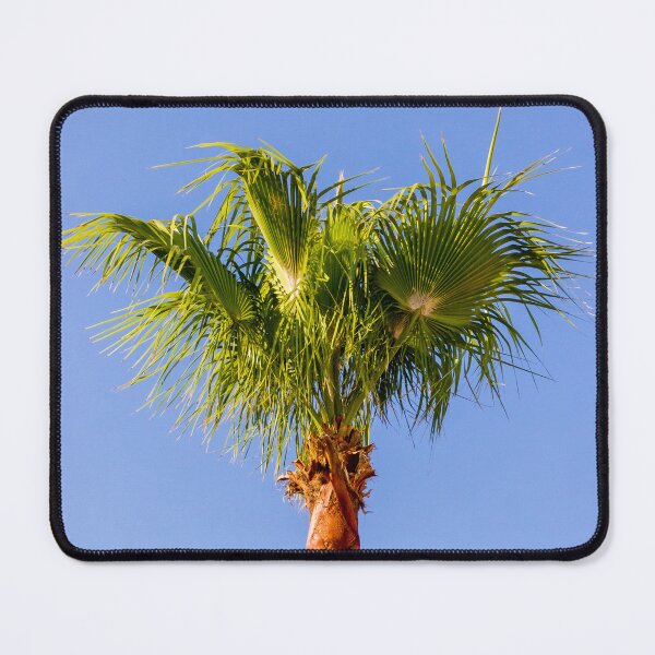 Item preview, Tall Palm Tree Against Clear Blue Sky - Tropical Summer Landscape With Sunny Vacation Vibe designed and sold by Nmallia.