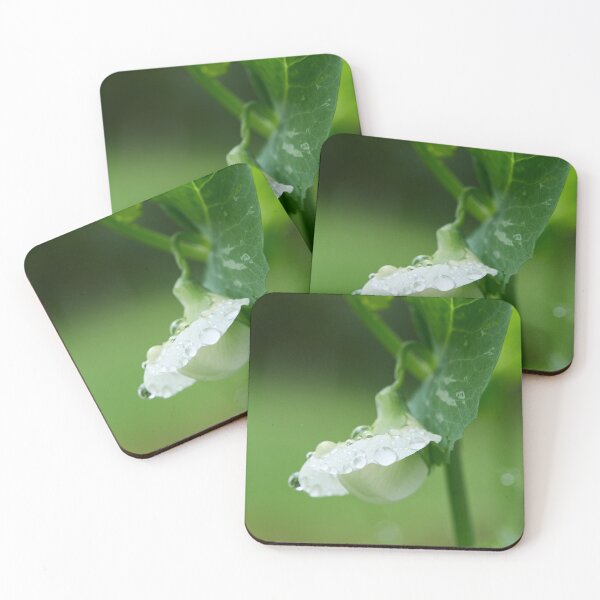 Item preview, Droplets on the flower. Garden pea designed and sold by Jouko Lehto Photography.