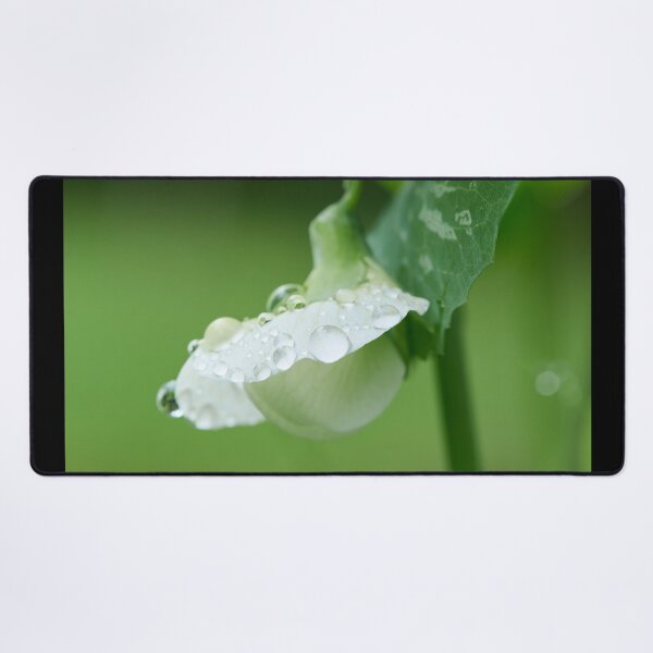 Item preview, Droplets on the flower. Garden pea designed and sold by Jouko Lehto Photography.