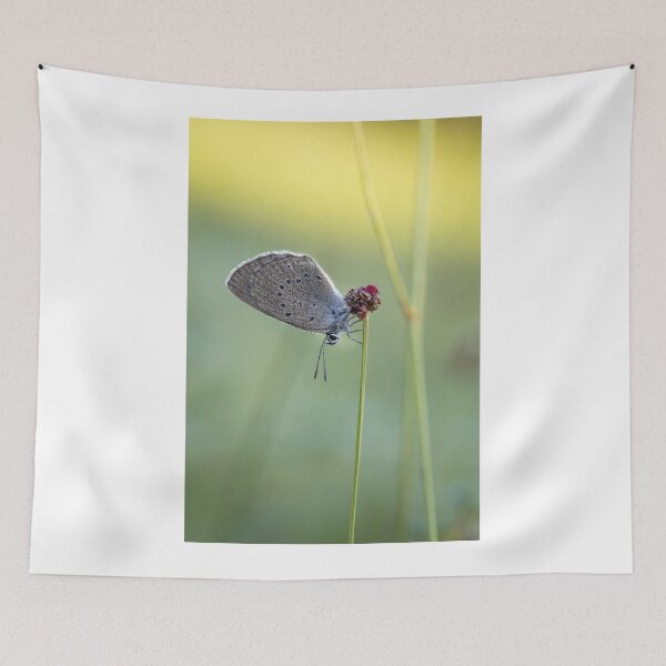 Item preview, Scarce Large Blue Butterfly Macro Nature Art designed and sold by Catrinann.