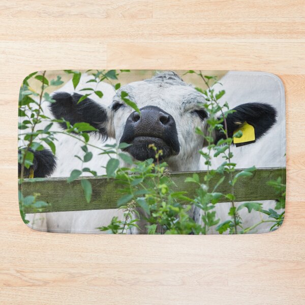 Item preview, White Park Cow III designed and sold by Jane Stanley Photography.