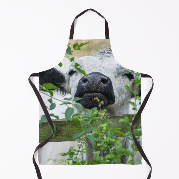 Item preview, White Park Cow III designed and sold by Jane Stanley Photography.