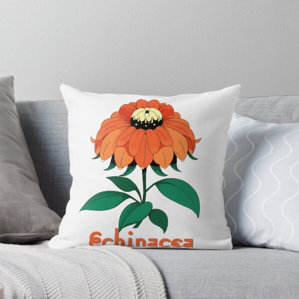 Item preview, Wall Art - Postcard - Bold Echinacea Bloom designed and sold by ForeverPrintsOK.