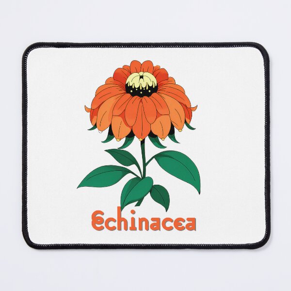 Item preview, Wall Art - Postcard - Bold Echinacea Bloom designed and sold by ForeverPrintsOK.