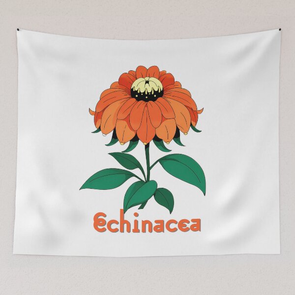 Item preview, Wall Art - Postcard - Bold Echinacea Bloom designed and sold by ForeverPrintsOK.