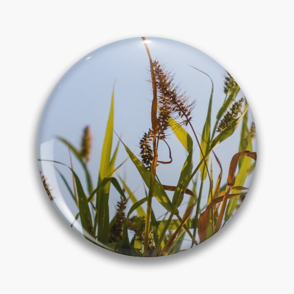 Item preview, Sunlit Wild Grass and Seed Heads Against Clear Blue Sky in Warm Late Afternoon Light designed and sold by Nmallia.
