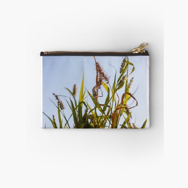 Item preview, Sunlit Wild Grass and Seed Heads Against Clear Blue Sky in Warm Late Afternoon Light designed and sold by Nmallia.