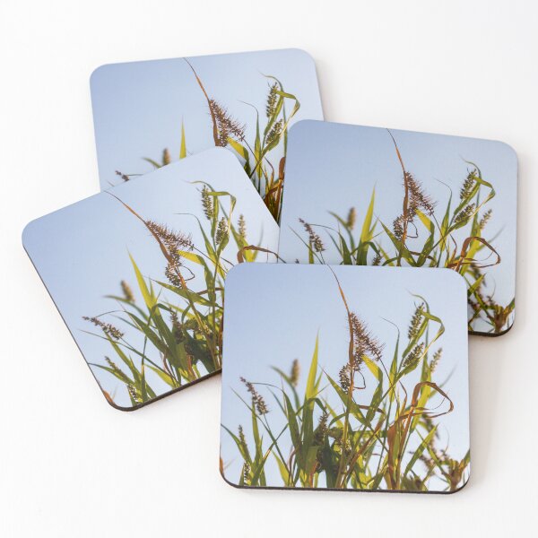 Item preview, Sunlit Wild Grass and Seed Heads Against Clear Blue Sky in Warm Late Afternoon Light designed and sold by Nmallia.