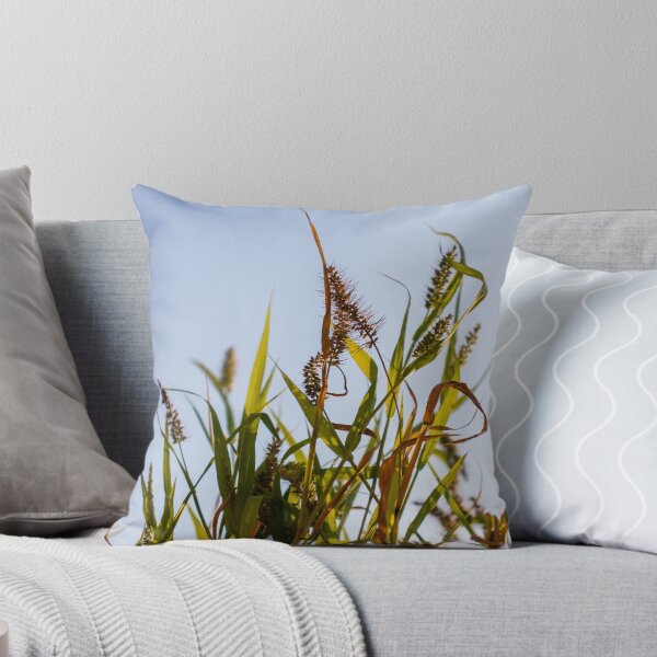 Item preview, Sunlit Wild Grass and Seed Heads Against Clear Blue Sky in Warm Late Afternoon Light designed and sold by Nmallia.
